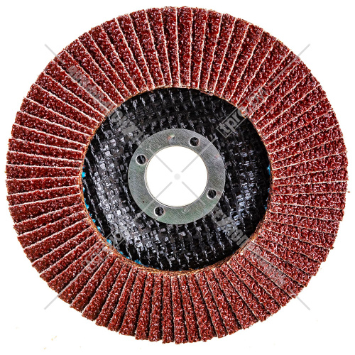 Лепестковый шлифкруг 125x22,23 мм P36 (вогнутый) ELITECH (1820.038800) купить в Гродно фото 2