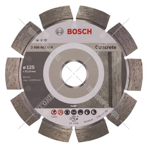 Алмазный круг Expert for Concrete 125х22,23 мм BOSCH (2608602556) купить в Гродно фото 2
